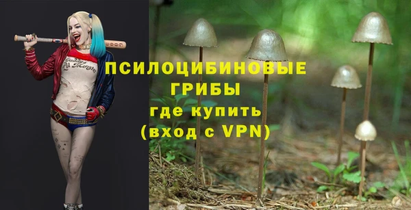 бошки Алзамай