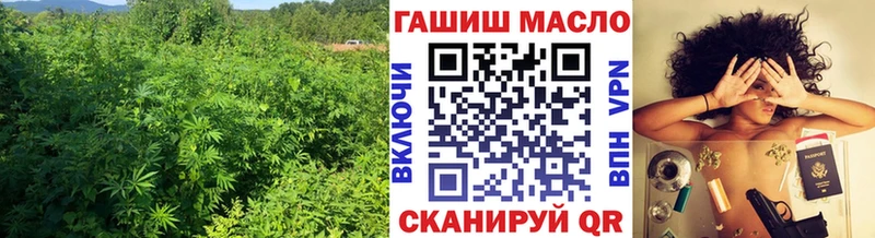 Дистиллят ТГК Wax  как найти   Кемь 
